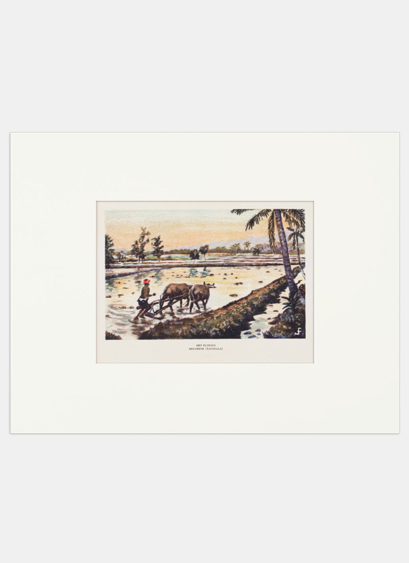 Repro Chromolithograph - Meloekoe (Tanggaala)