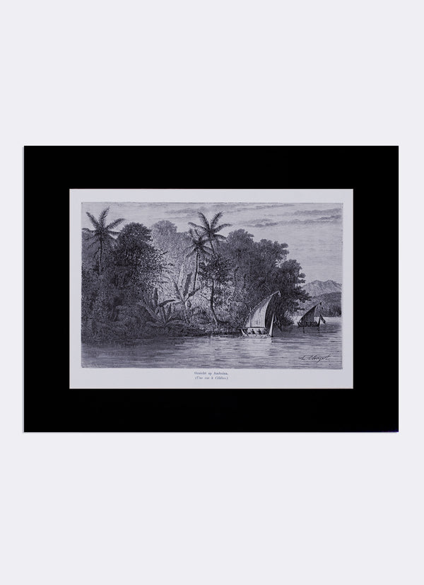 Repro Engraving -  Gezicht op Ambonia