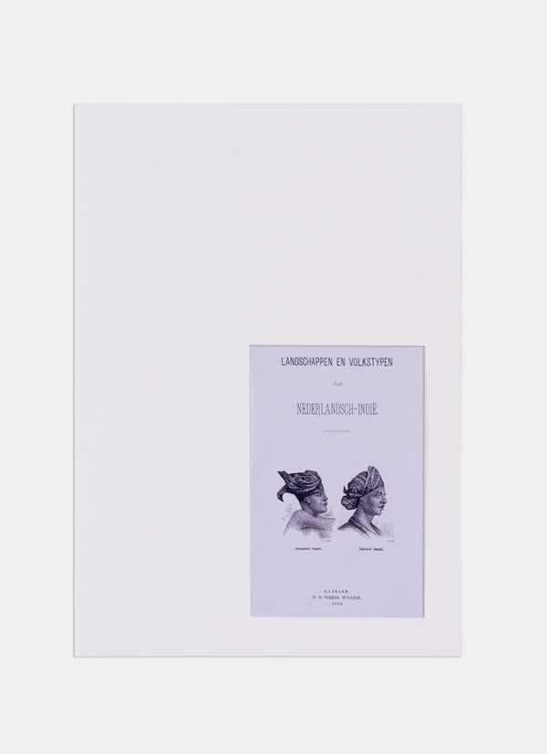 Repro Engraving -  De goudkleurige sifflet (Parotia aurea) mannetje en wijfje