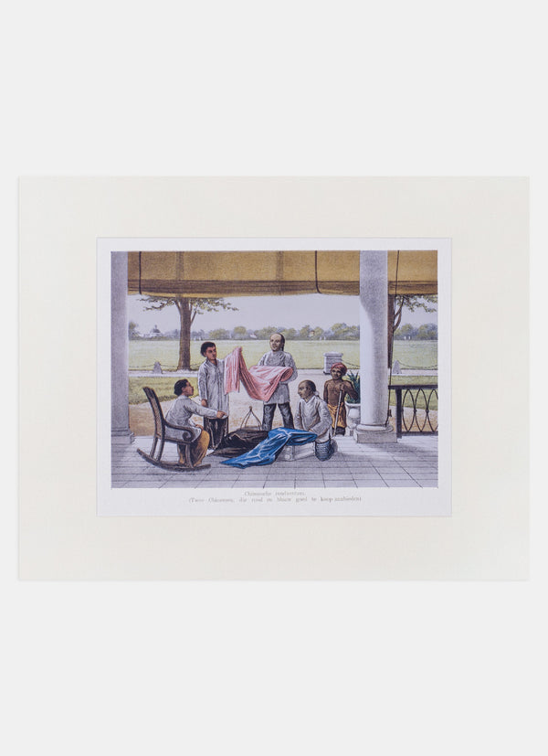 Repro Lithograph - Chineesche Rondventers