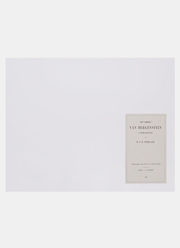 Repro Lithograph - Namiddagbezoek