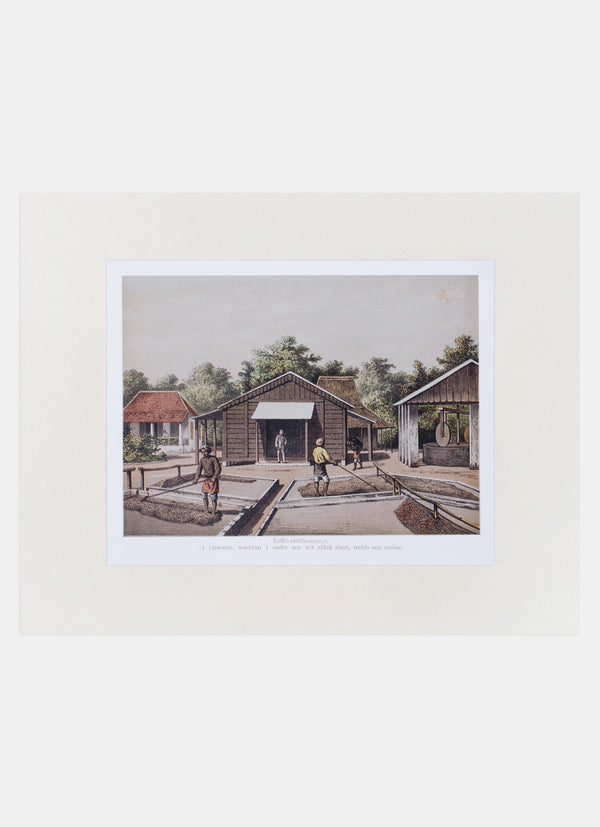 Repro Lithograph - Koffie-etablissement