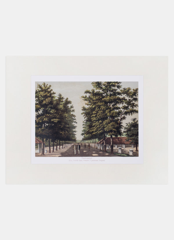 Repro Lithograph - Pajakoembah