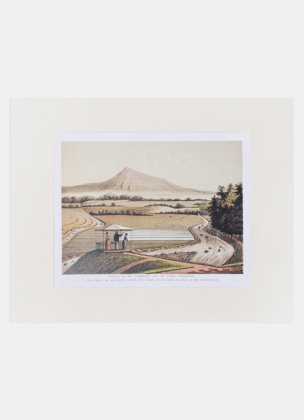 Repro Lithograph - Gezicht op den Pangerango van uit s Rijks Plantentuin