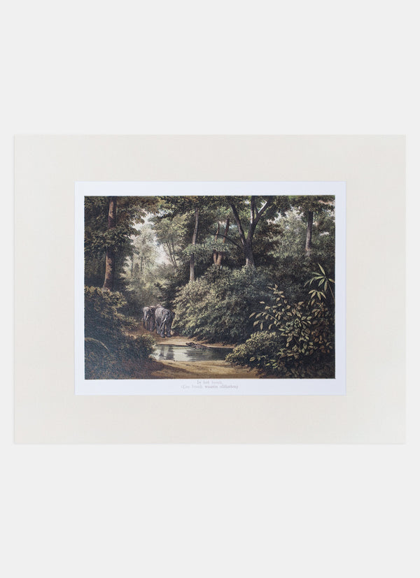 Repro Lithograph - In het bosch