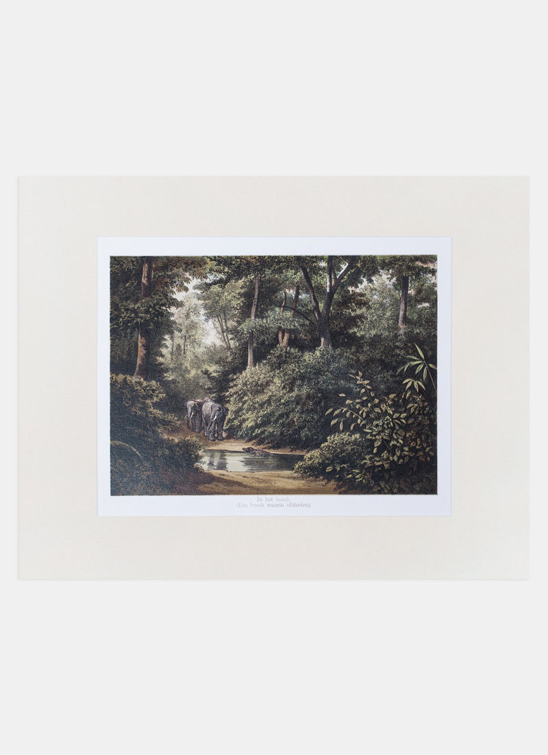 Repro Lithograph - In het bosch