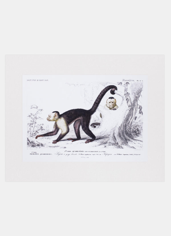 Repro Lithograph