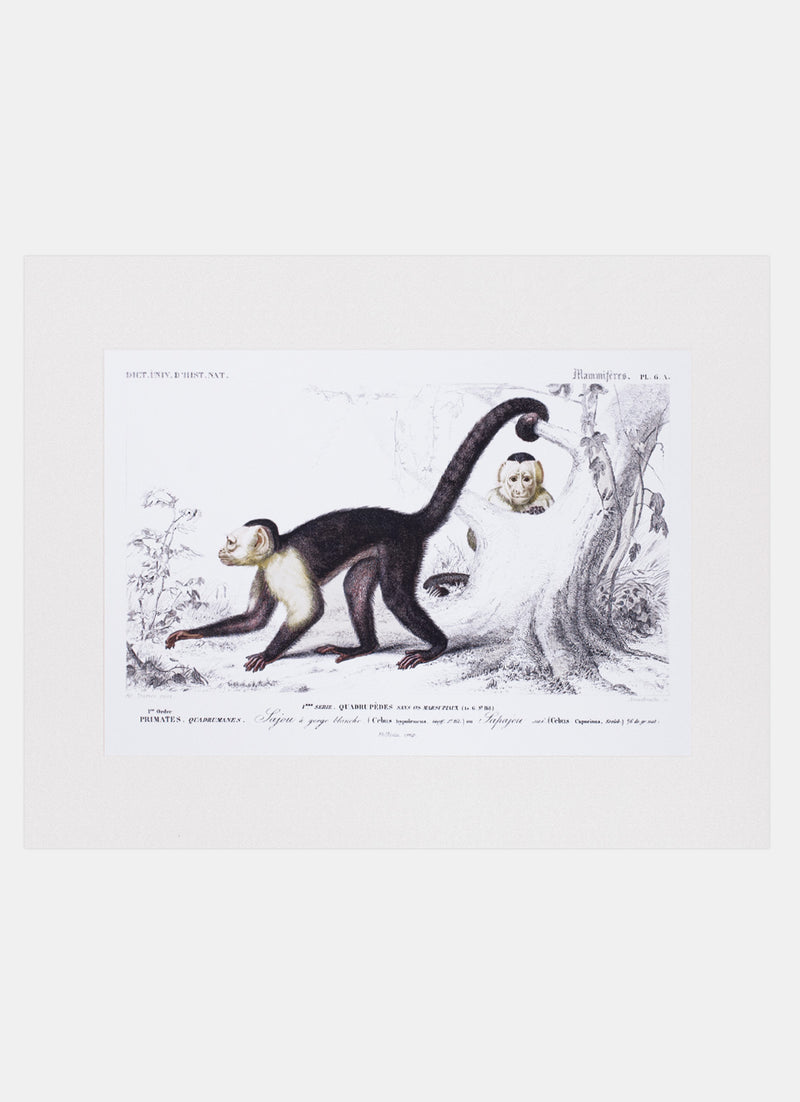 Repro Lithograph