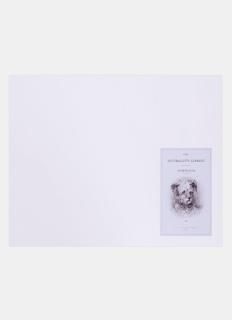 Repro Lithograph