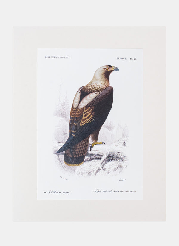 Repro Lithograph