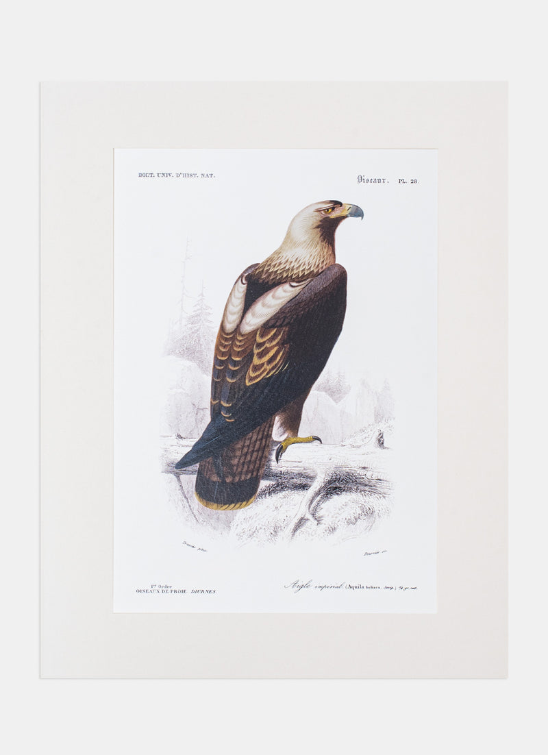 Repro Lithograph