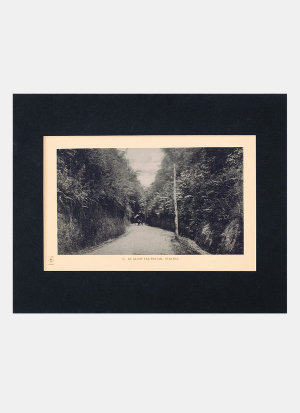 Repro Old Photography - De Kloof Van Pantar - Sumatra