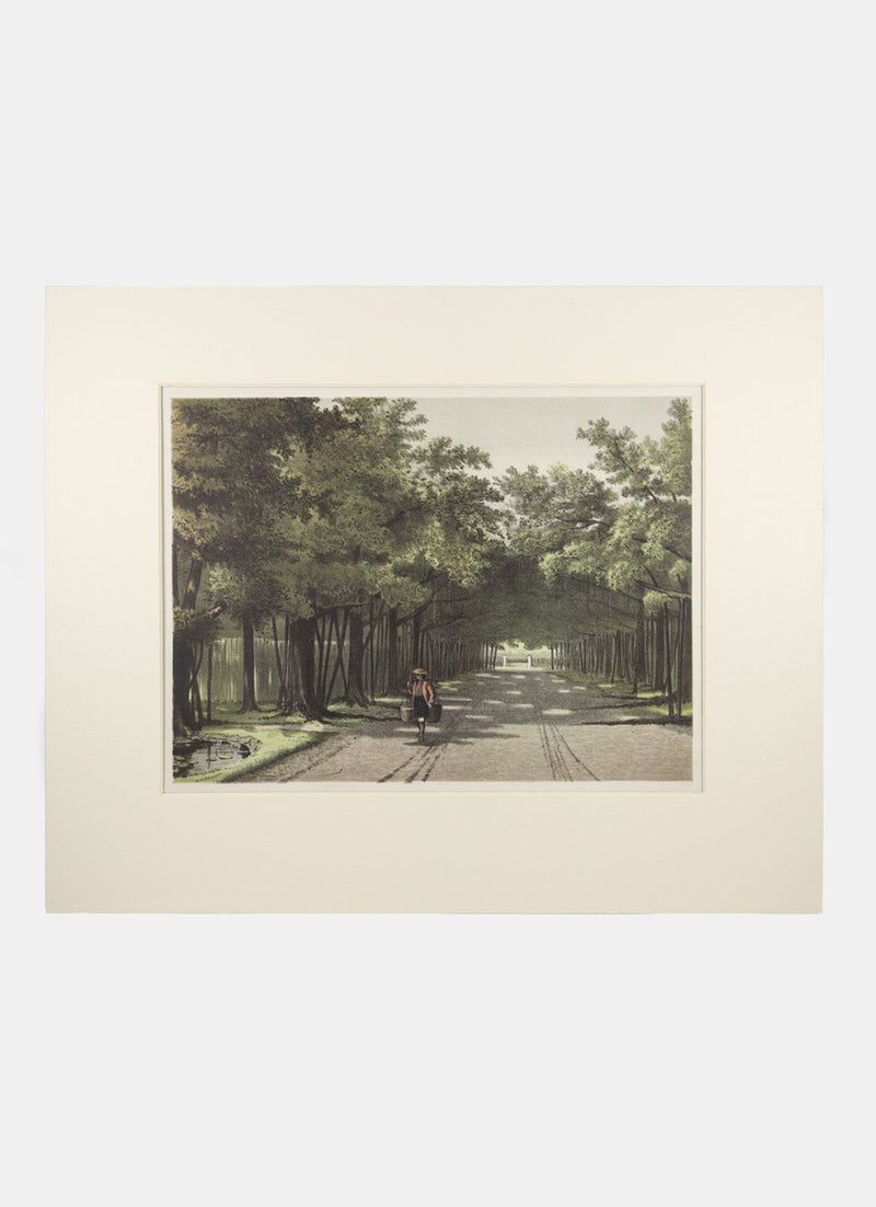 Repro Lithograph