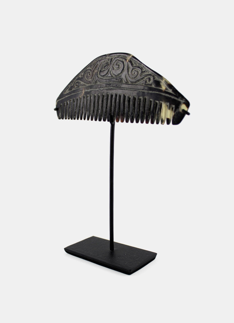 Sea Turtle Shell Combed From Tanibar